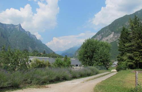 La Piccola Fattoria - Foto 11