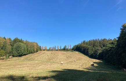 Na Piotrowickiej Przełęczy - Foto 73