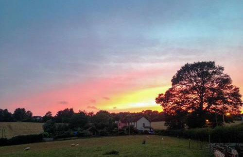 Coachmans Close - Foto 29