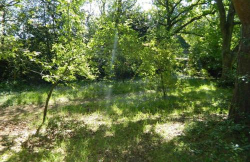 River Cottage a country retreat in wooded gardens - Foto 22