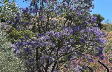 Authentic Luxury Villa in Oasis with Pool close to Malaga - Foto 38