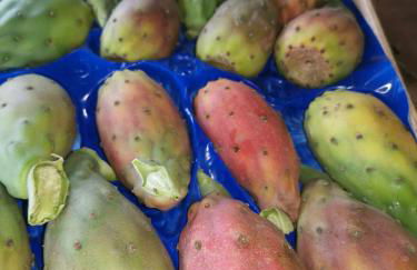 La Fattoria Dei Nonni - Foto 45