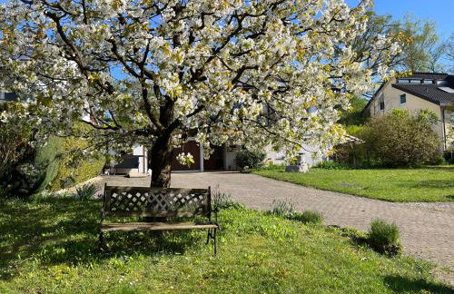 Ferienwohnung am Kirschbaum - Foto 1