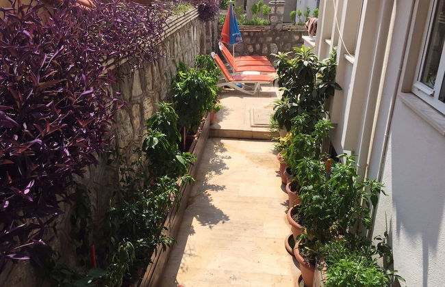 Villa Dream Apart Hotel - Photo 15