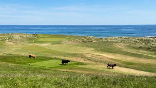 No4 The Links Apartments - Photo 4