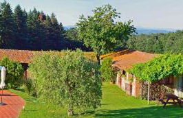 Pò delle Buche - Photo 16