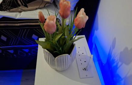 The White House - Photo 64