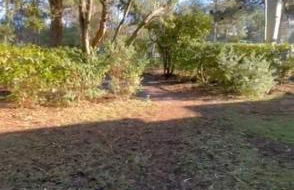 Beautiful 3 rooms with terrace near the ocean - Foto 11