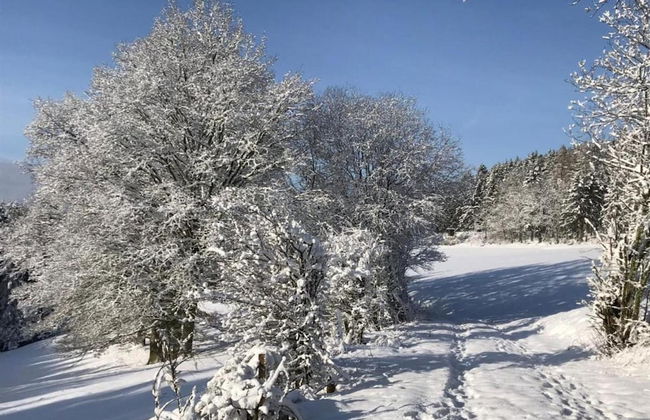 Romantic Hideaway in Hellenthal - Photo 32