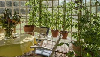 Altes Forstamt im Teutoburger Wald-Fewo Hofgarten - Foto 4, Garden view