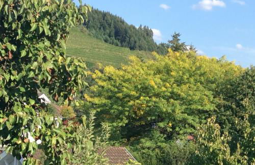 Ferienwohnung Cipolla - Foto 26