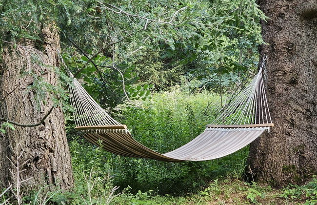 Pocono Dog-Friendly Home on River - Foto 39