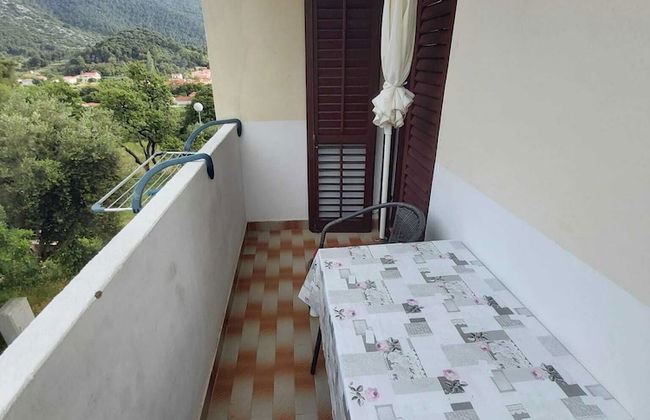 Apartments Dalmatin - Foto 14