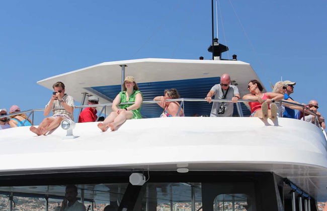 Whale & Dolphin Watching Cruise - Photo 8