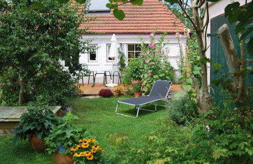 Rittersporn - Foto 1