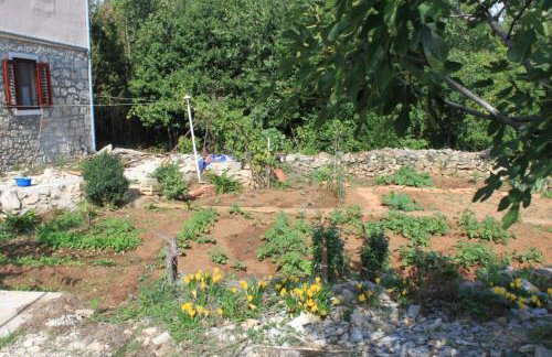 Apartments by the sea Lukoran (Ugljan) - 8510 - Foto 9