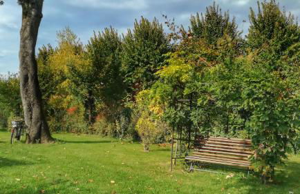 Agriturismo Casa Agricola Rossi Appartamenti in Casentino - Foto 105