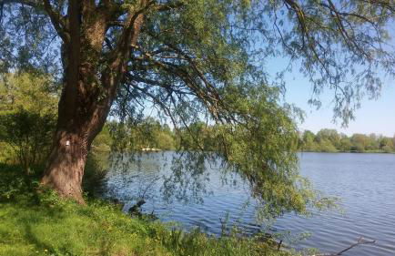 Ferienwohnung Brunnenstrasse - Foto 37