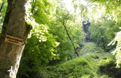 Hof am Horn - Fewos in der Natur - Photo 27