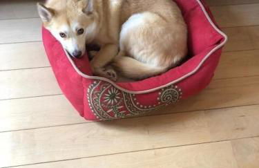 Roscoe Retreat - Foto 24