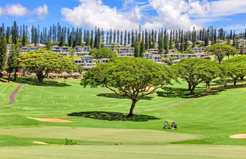 Kapalua Golf Villa 16V 2 - Foto 30