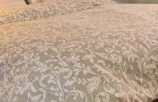 Musa Paradisiaca - Foto 24