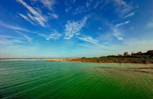Bajo en Playa Romana Alcossebre - Foto 39
