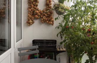 Bright and spacious 1 bed flat in Camberwell - Photo 16