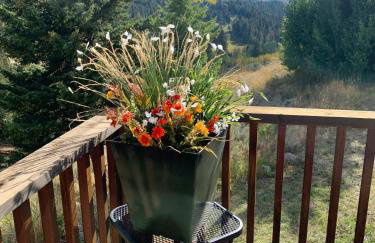 Mammoth Overlook Of Yellowstone - Foto 35