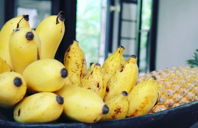 Galle Henna Estate - Foto 26