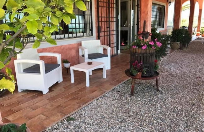 I Cardinali - Foto 34