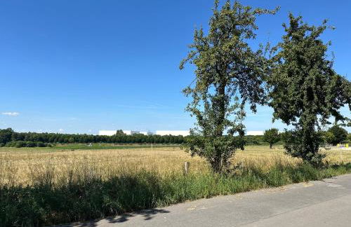 Zur schönen Aussicht I 55 I Am Feld I Zuhause - Foto 21