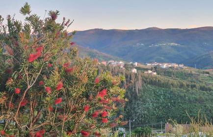 Coja Mountain Perch - Foto 21