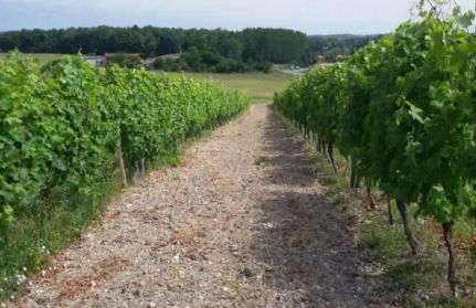 Maison charmante à Eymet, grand jardin et terrasse - Foto 34
