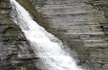 Woodland Hideaway - Foto 27