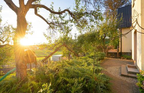 Folwark Minikowo - Agroturystyka w Borach Tucholskich - 5 pokoi z prywatnymi łazienkami - Foto 69