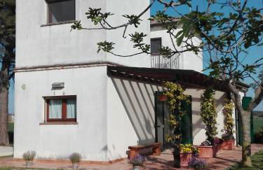 Silos Torrenova - Foto 9