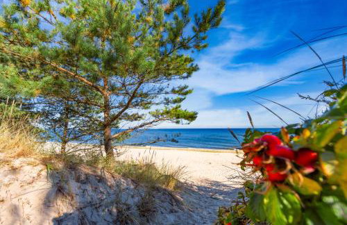 Studio in Usedom - Insel Usedom 2319 - Foto 25