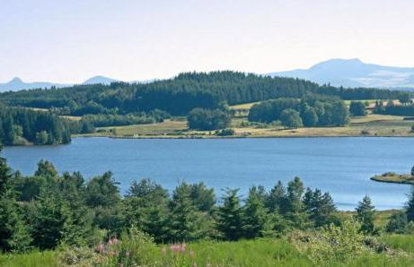 Haute-loire Tence Belle maison neuve plain-pied 4 étoiles avec parc arboré clos - Foto 15