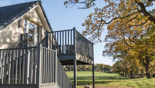 Dunroamin Apartment - Photo 5, Garden