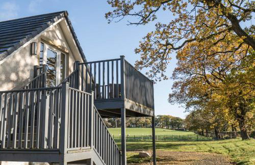 Dunroamin Apartment - Foto 5