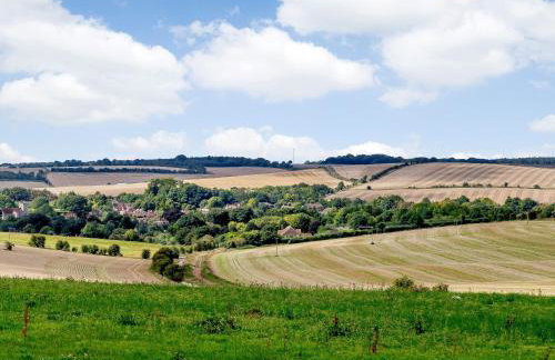 1 Pheasant - Photo 14