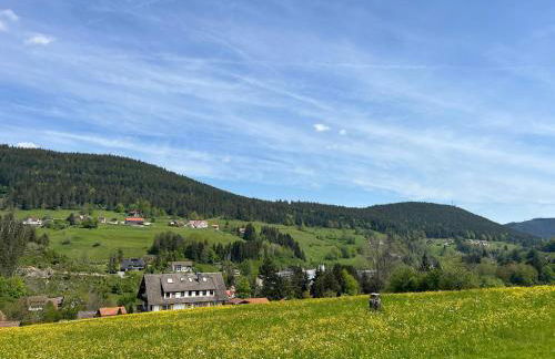 Ferienwohnung Auszeit im Murgtal - Foto 18
