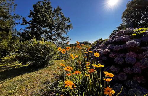 Holiday Home Serrari - Foto 7