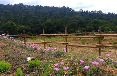 Sondela Self Catering - Foto 31