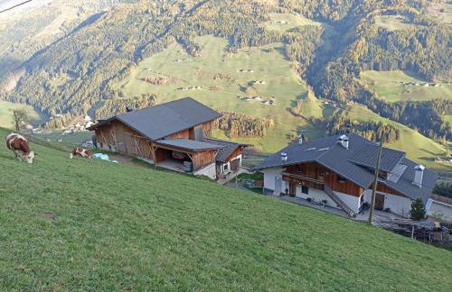 Ortnerhof - Photo 24