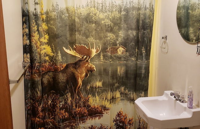 lazy bear cabins - Foto 48