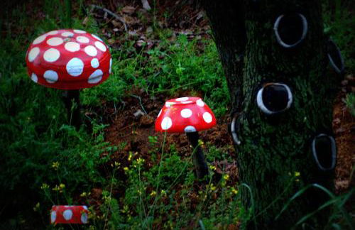 Alojamiento Rural El Brazal - Foto 27