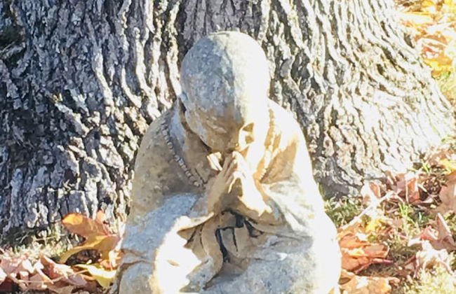 Endellion - Photo 29