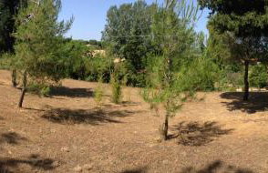 Secluded 1.8 acre garden Villa, for exclusive use with Stunning Views. - Foto 28